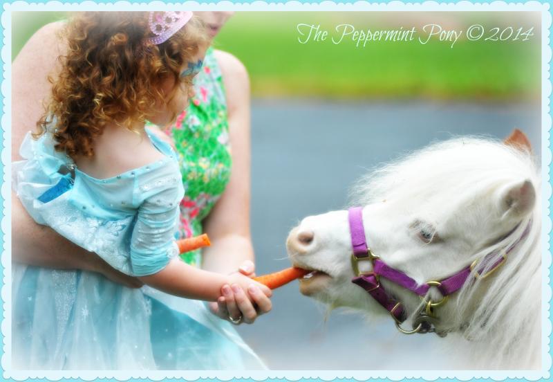 Tiny Elsa clad girl, feeding our mini horse a carrot while being held by her mom